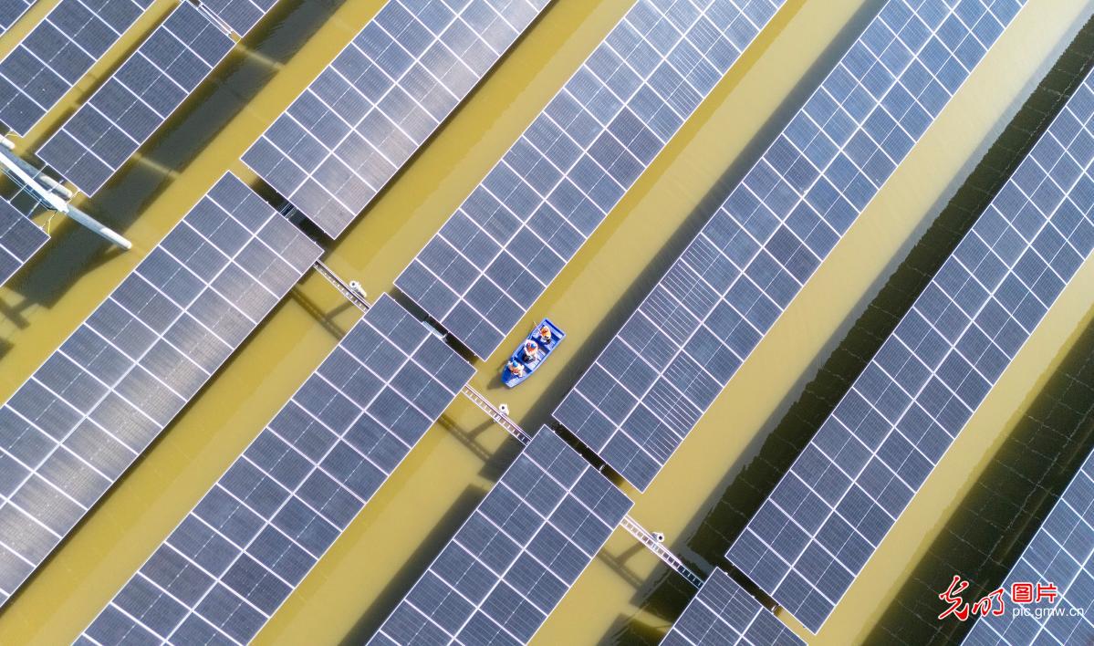 “渔光互补”助推绿色发展