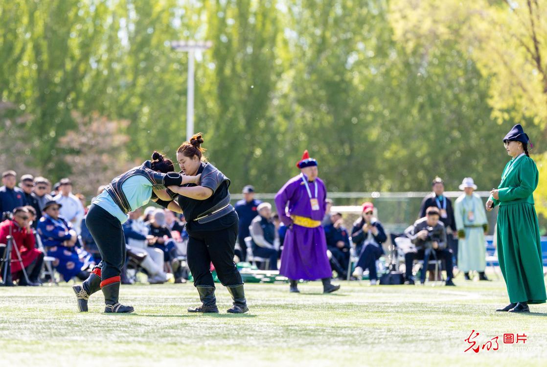 搏克赛场 青春飞扬