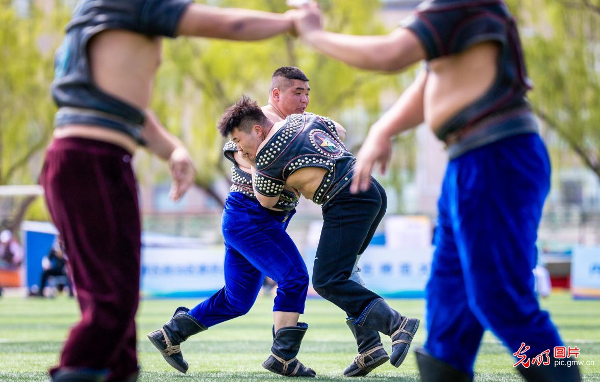 搏克赛场 青春飞扬