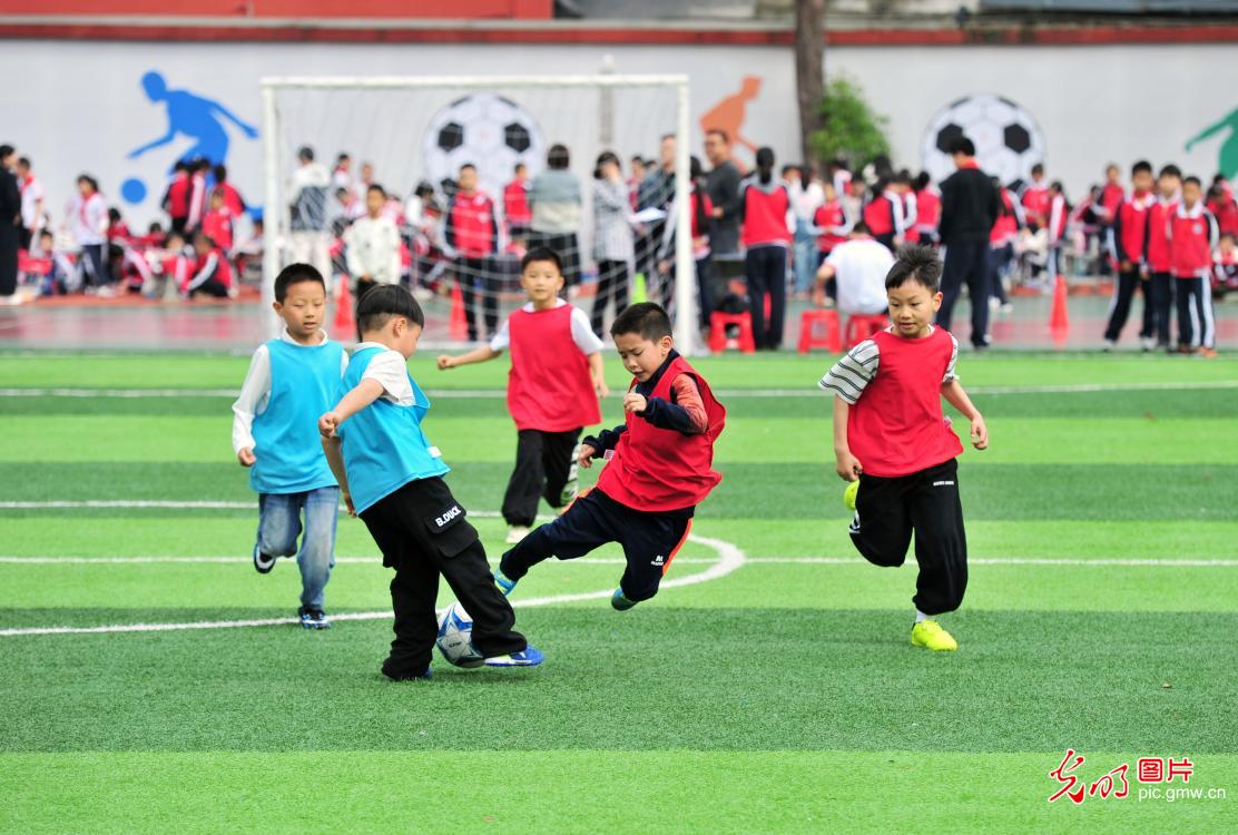 绿茵赛场绽放少年风采