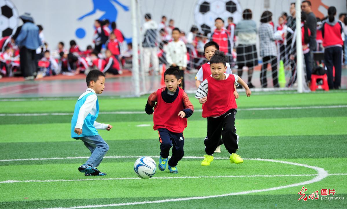 绿茵赛场绽放少年风采