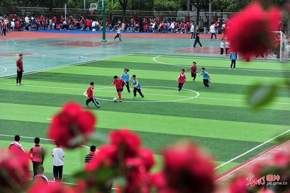 绿茵赛场绽放少年风采