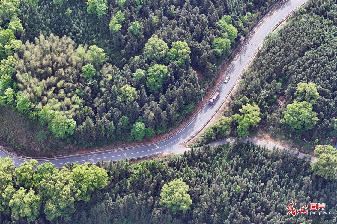 厚植乡村底色 绽放振兴生机