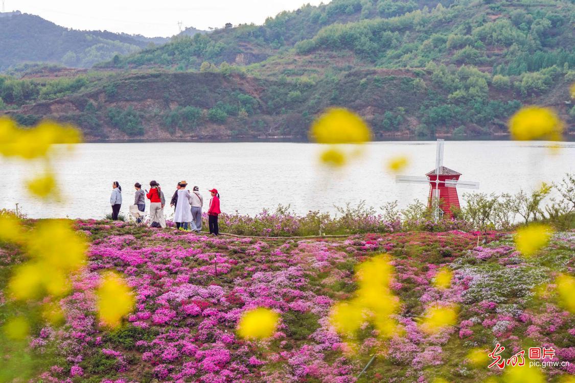 厚植乡村底色 绽放振兴生机