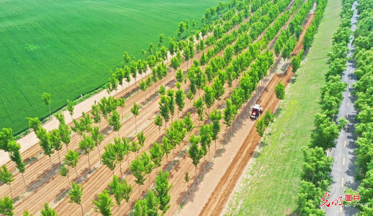 厚植乡村底色 绽放振兴生机