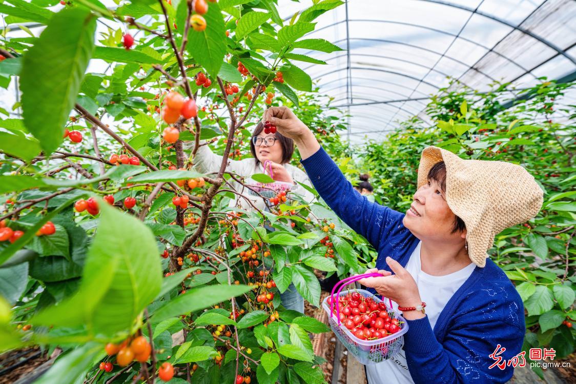 厚植乡村底色 绽放振兴生机