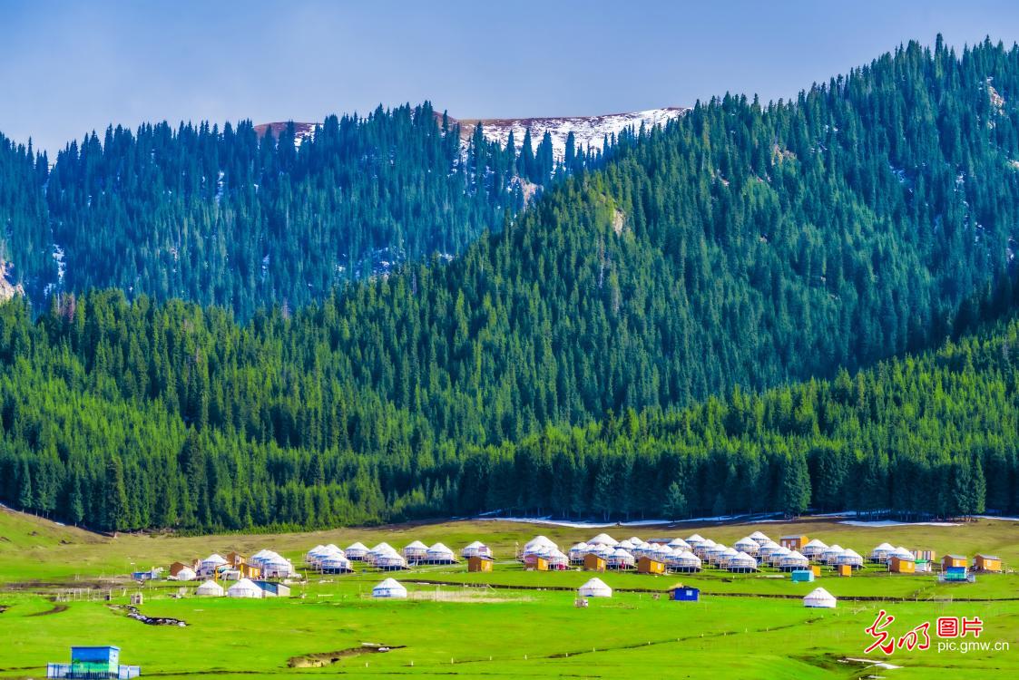 青野连天 毡房缀景
