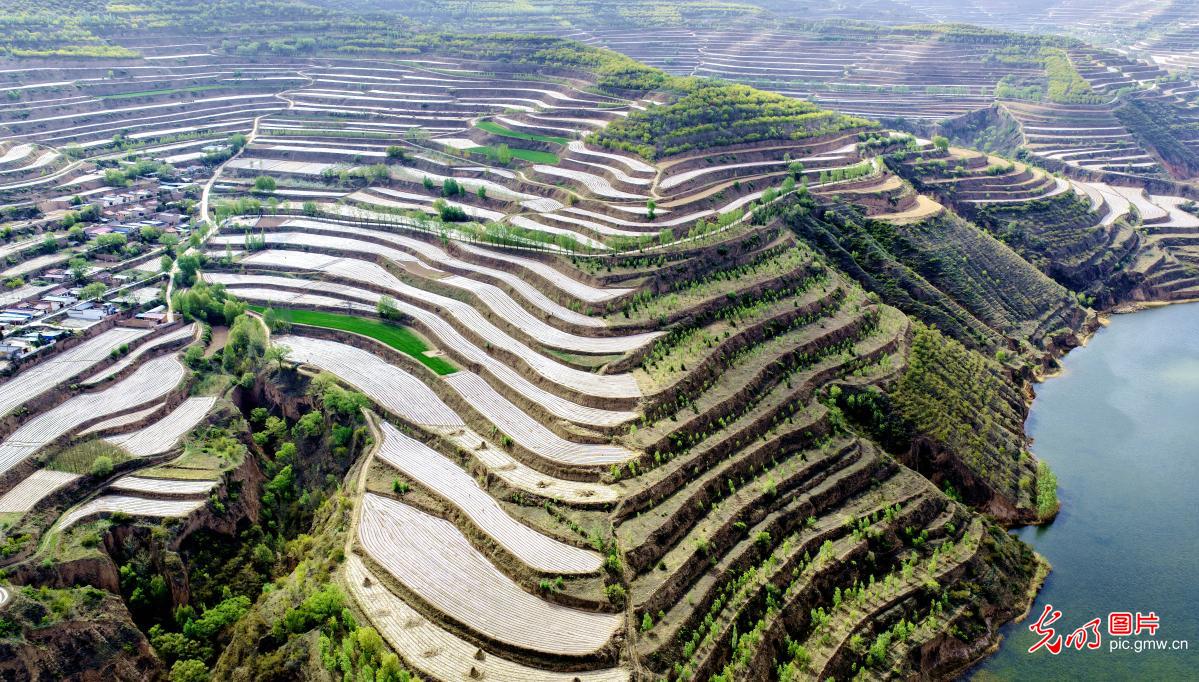 湖畔风光好 生态谱新篇