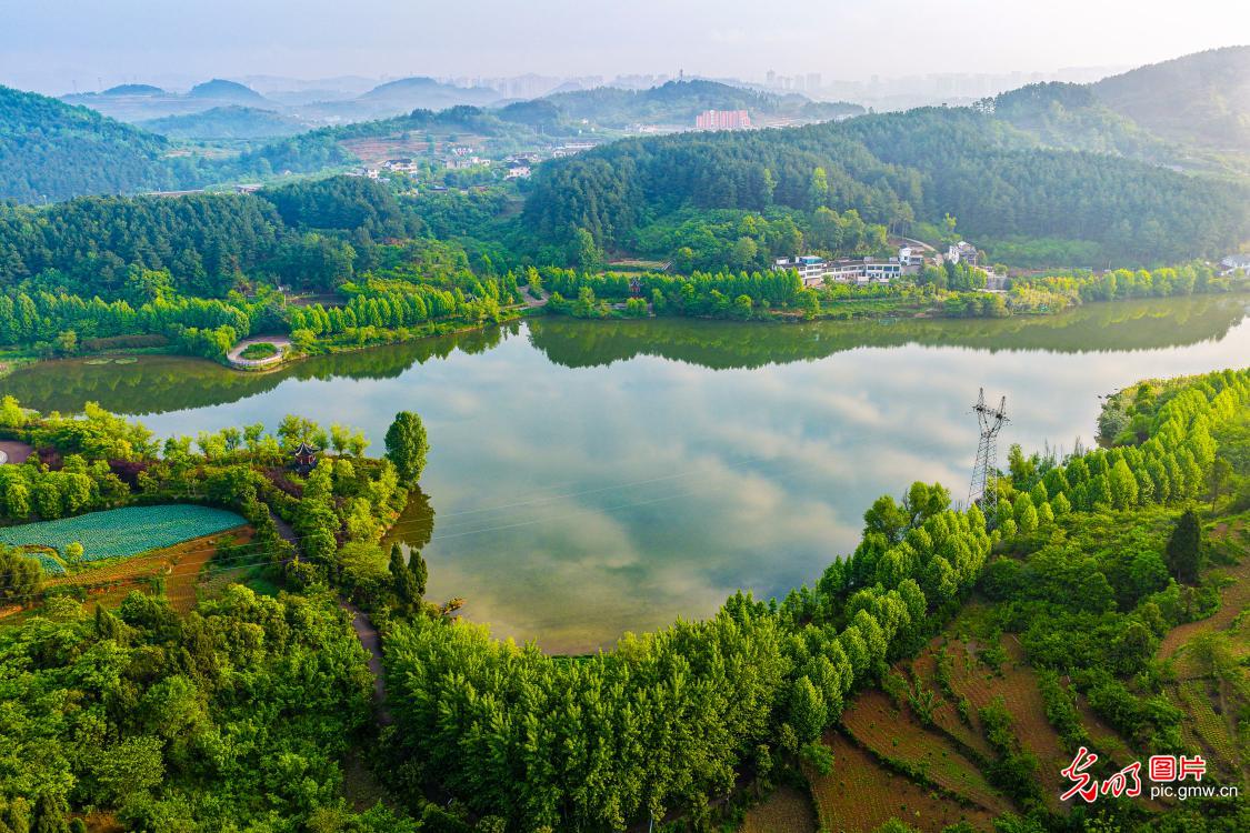 湿地添秀色 湖村入画来