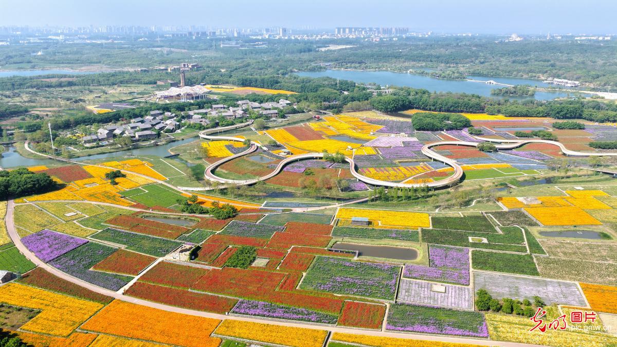 花海缀园 满目斑斓