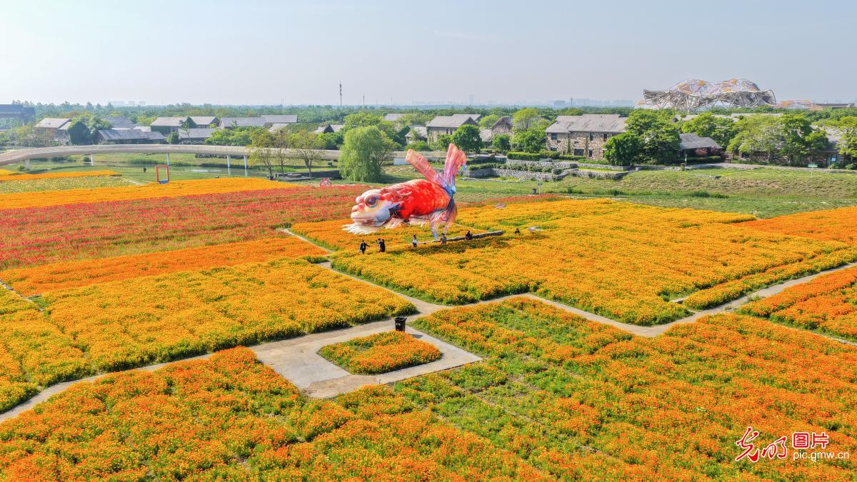 花海缀园 满目斑斓