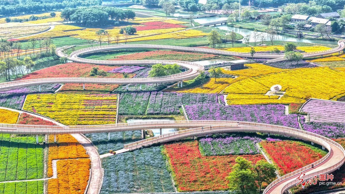 花海缀园 满目斑斓