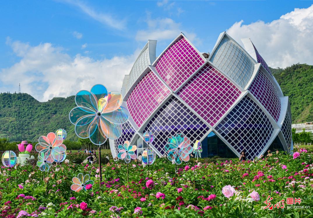 花海兴文旅 生态助振兴