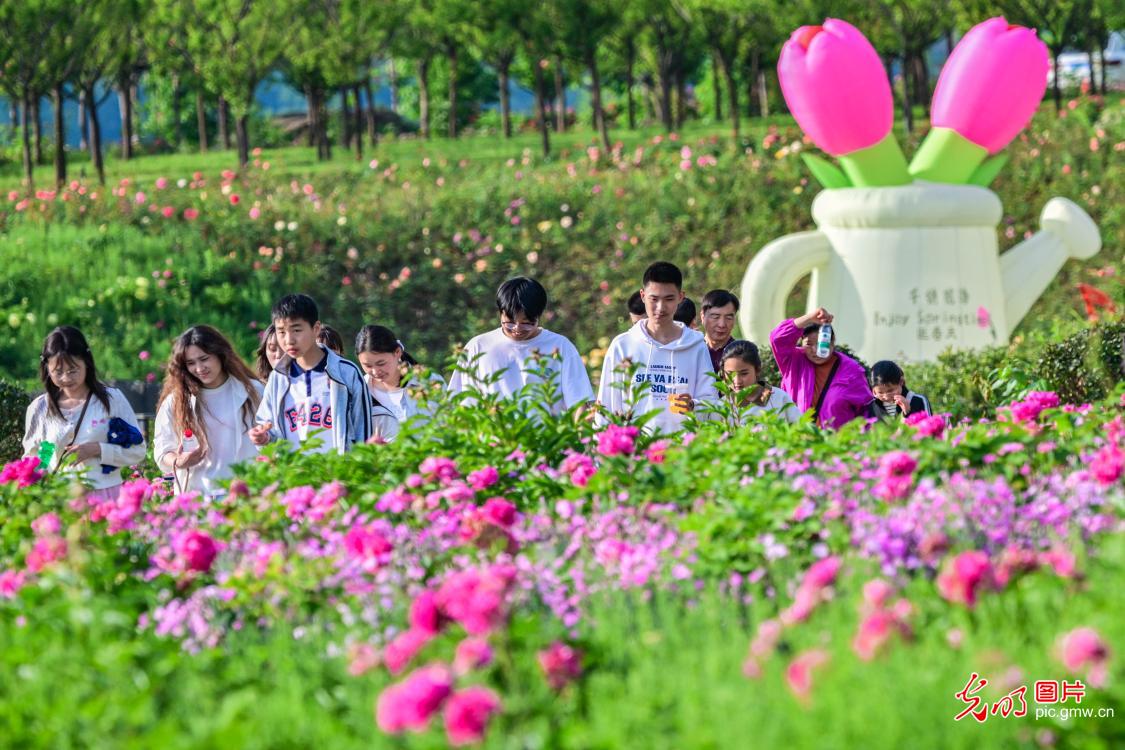花海兴文旅 生态助振兴
