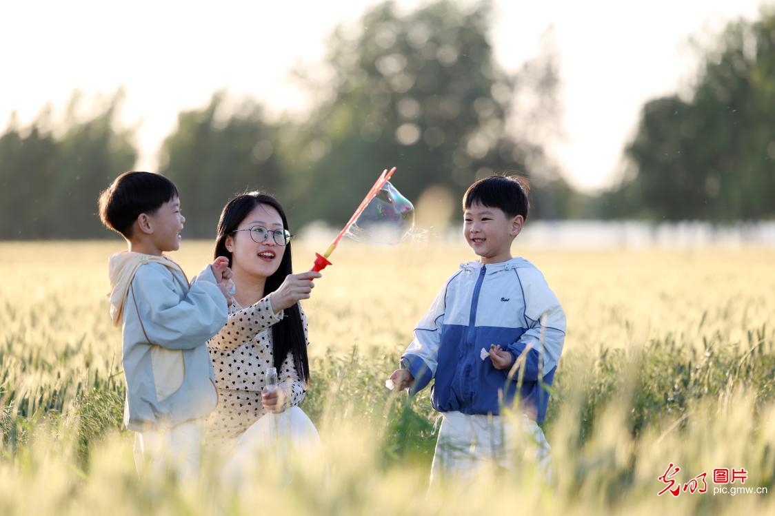 以陪伴致母爱 以温情暖时光