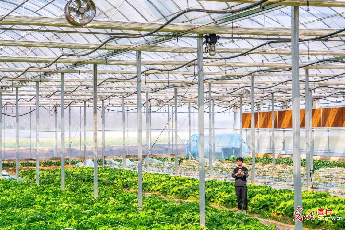 春耕启新程“新农人”逐梦乡土