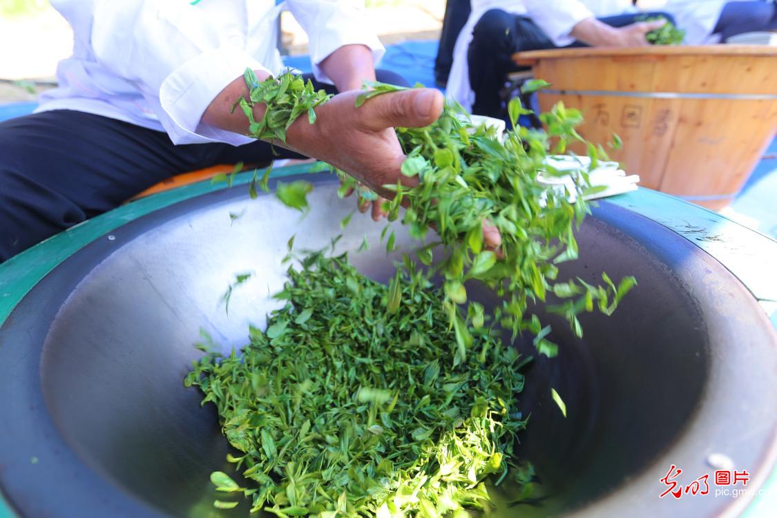 炒茶高手围炉竞技 非遗匠心淬炼茶香
