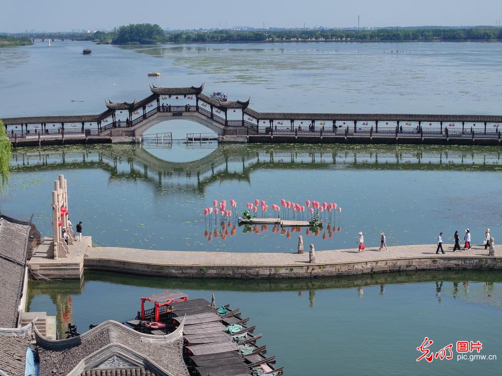 初夏水乡引游人