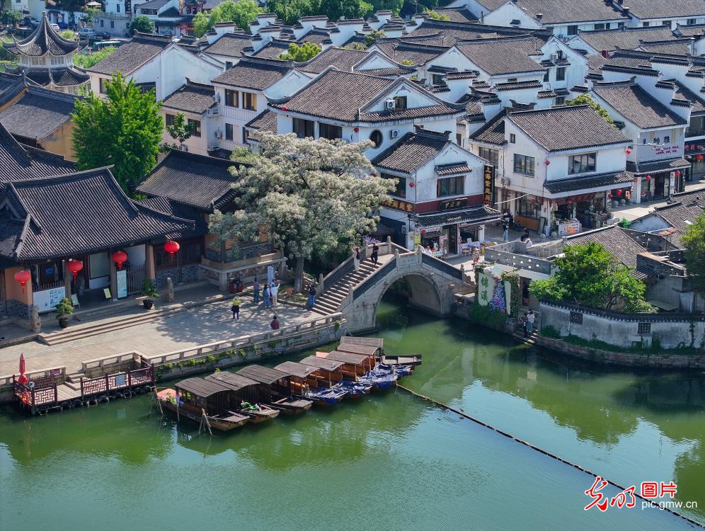 5月11日-5月17日光明图片一周见报作品精选