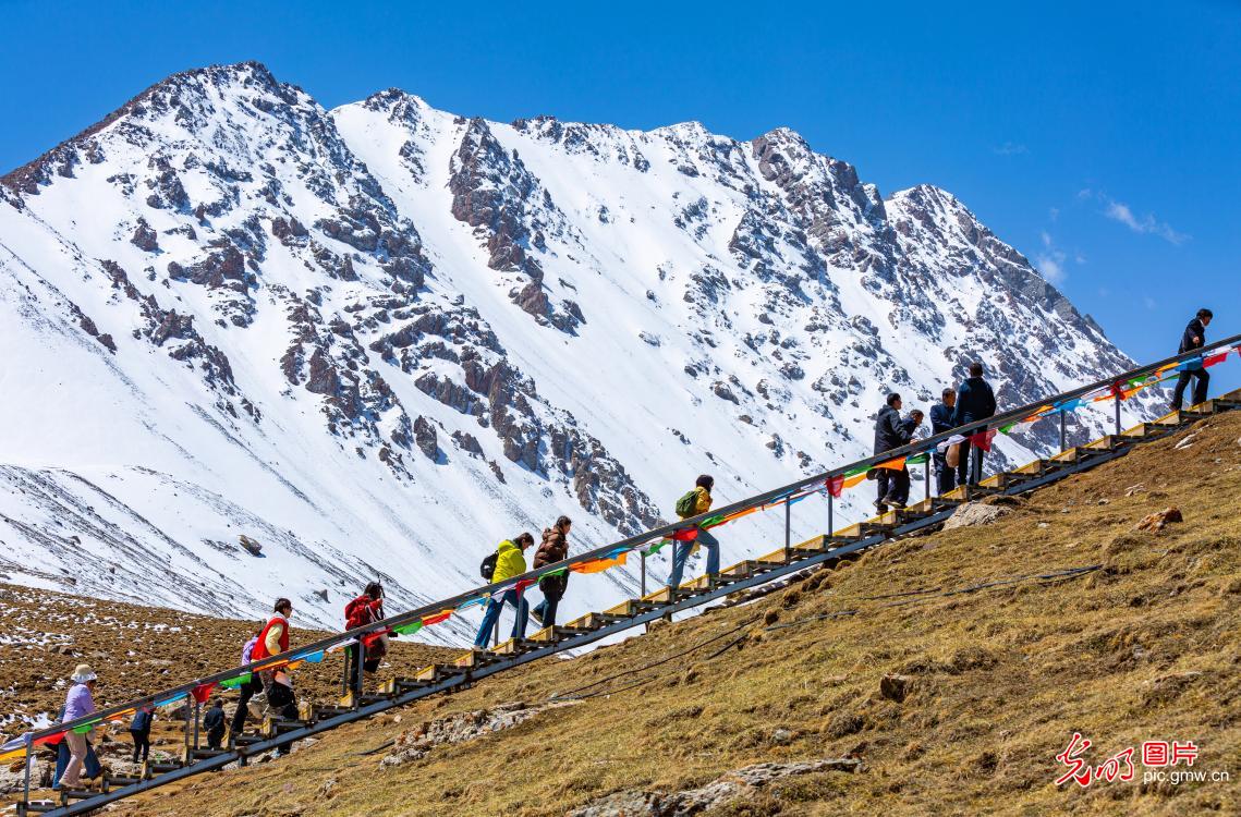 巴尔斯雪山迎客来