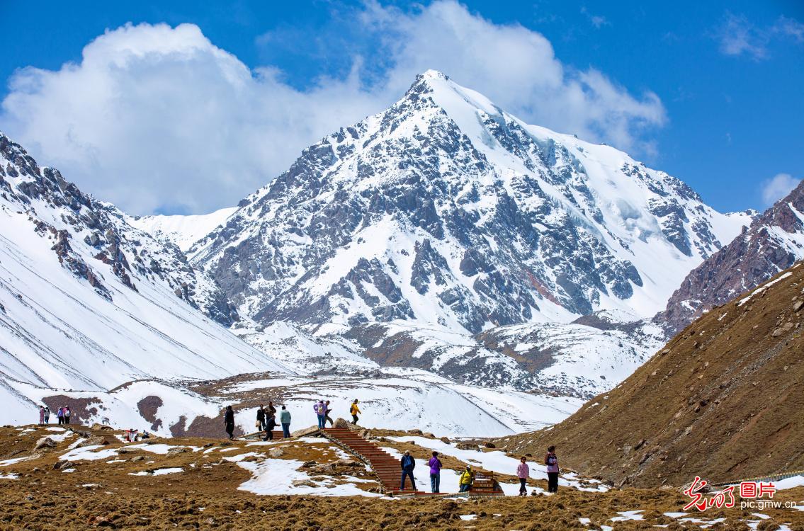 巴尔斯雪山迎客来