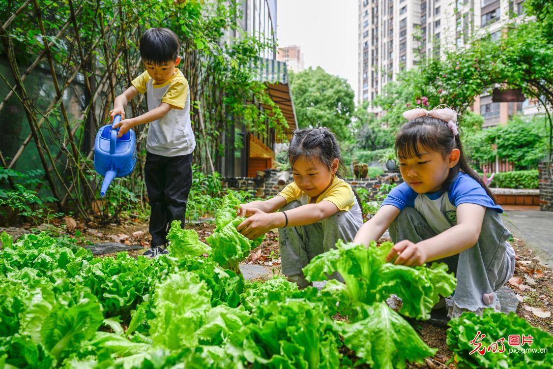 5月18日-5月24日光明图片一周见报作品精选 5月18日-5月24日光明图片一周见报作品精选