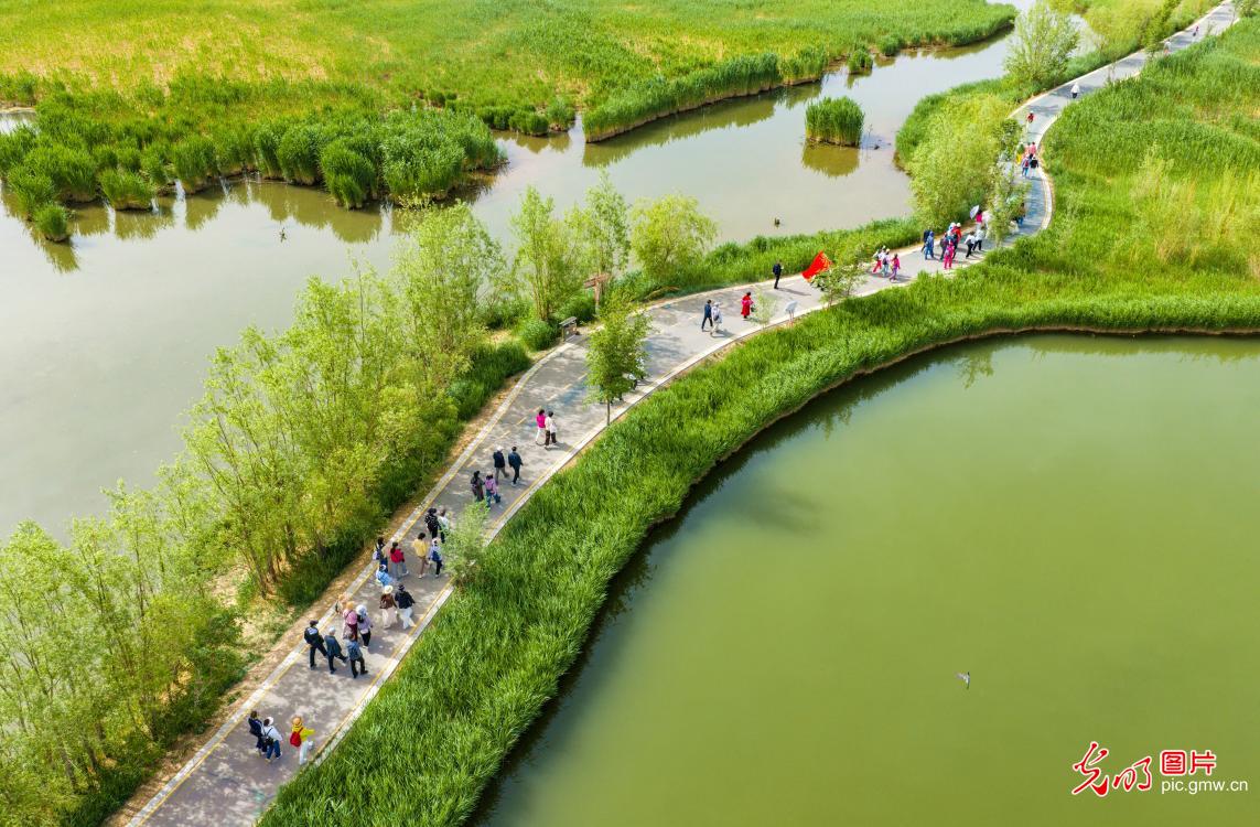 穿越湿地 乐享运动