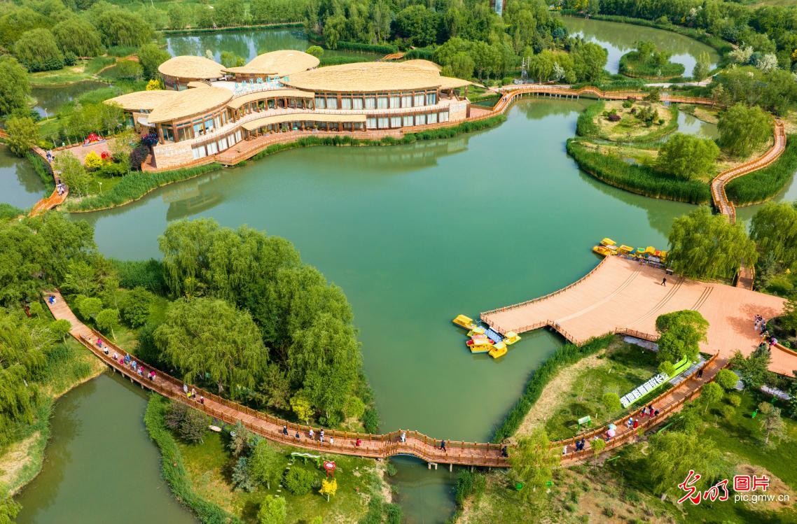穿越湿地 乐享运动