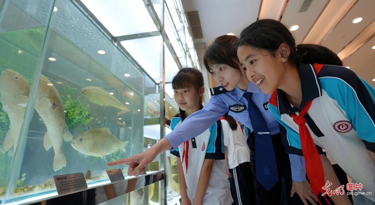 走进科普馆 学习生物保护知识