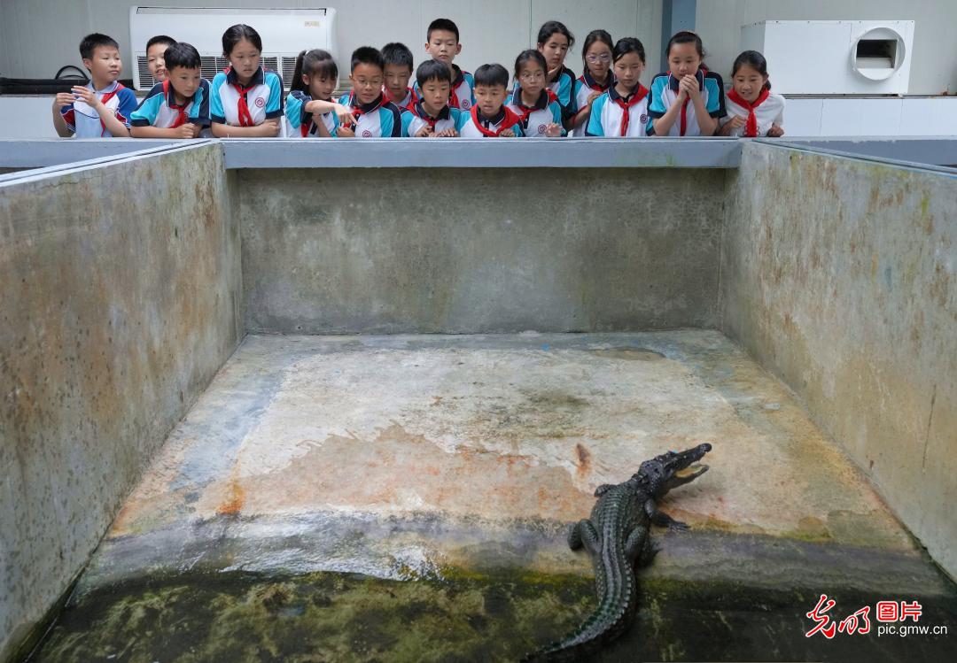 走进科普馆 学习生物保护知识
