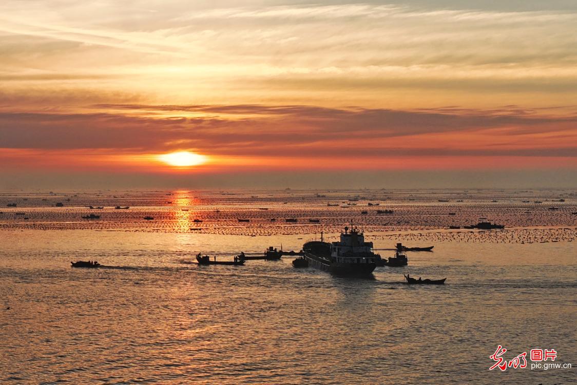 鲍鱼海陆联运 加速转场