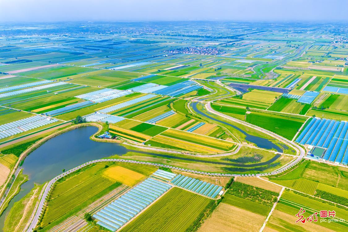 涑水河畔绘就田园盛景