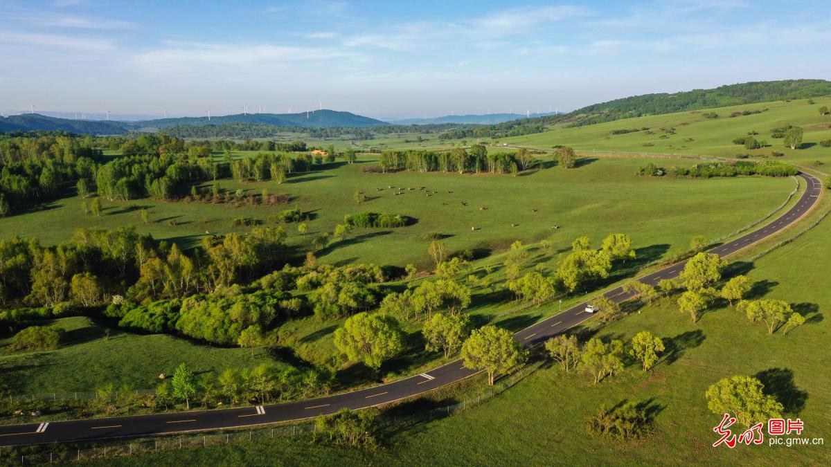 旷野晨韵 风光静谧悠然