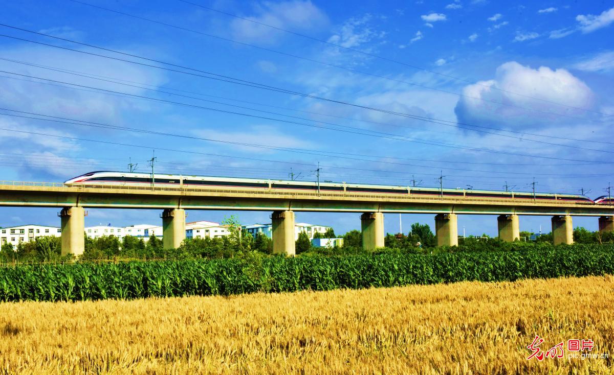风物相融 定格夏日田园画卷