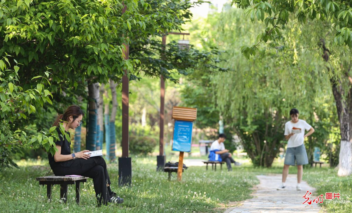 5月25日-5月31日光明图片一周见报作品精选