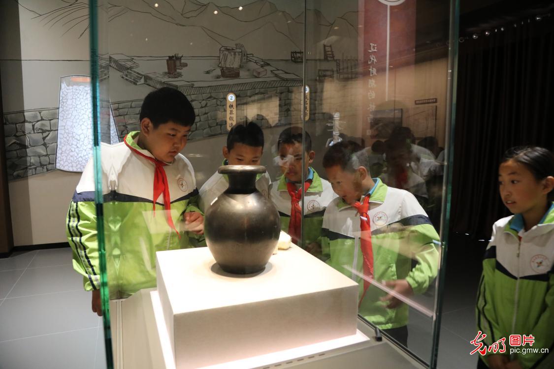 文博科技润童心 解锁新知迎“六一”