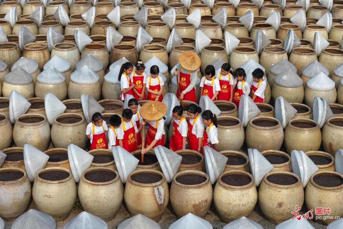 体验非遗酿造 研学豆豉文化