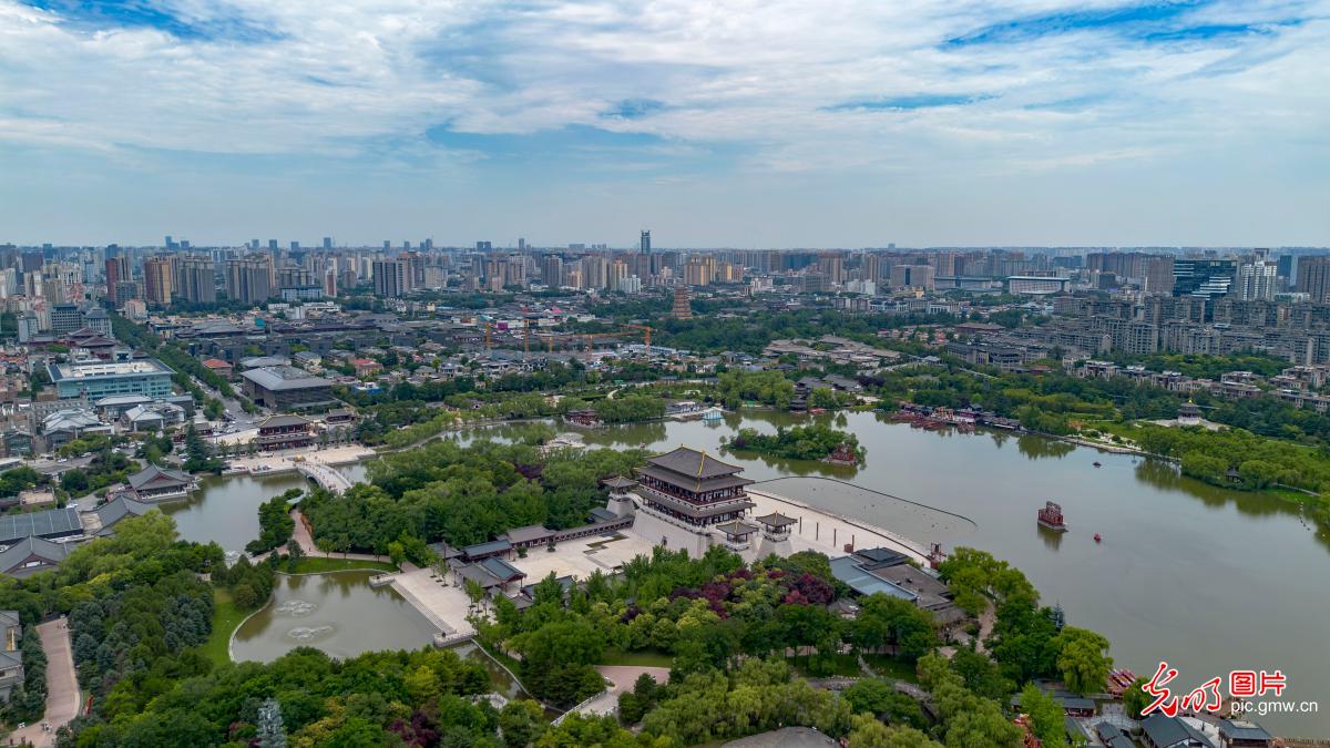 6月1日-6月7日光明图片一周见报作品精选