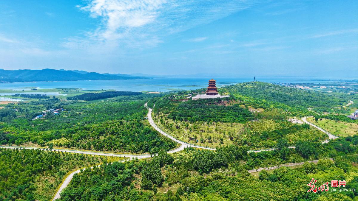 碧空相映 湿地生姿