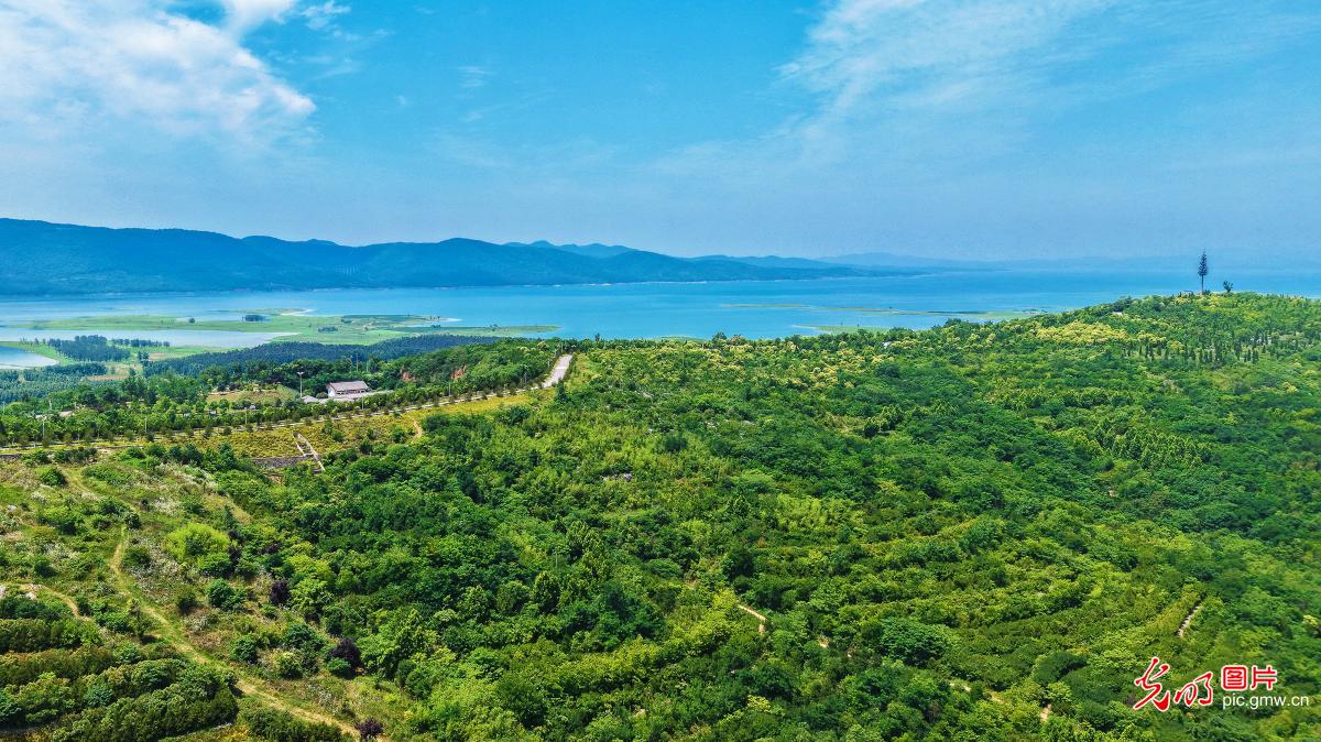 碧空相映 湿地生姿