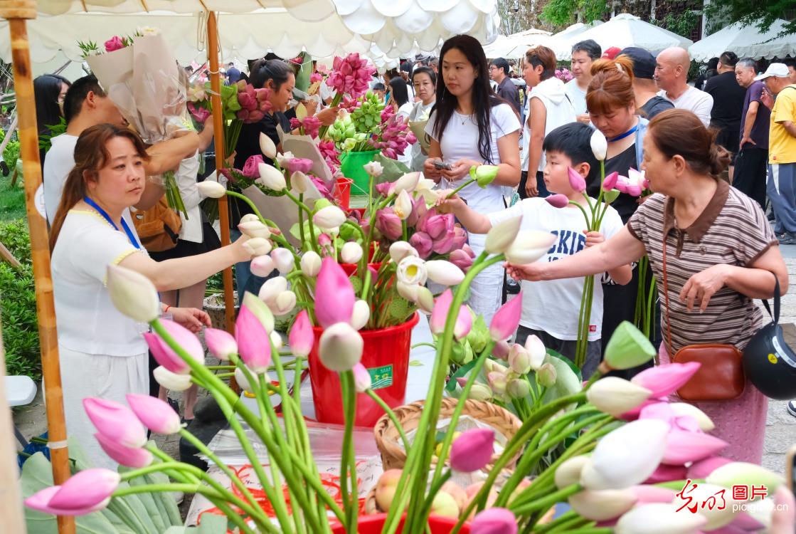 “荷花市集”人气旺