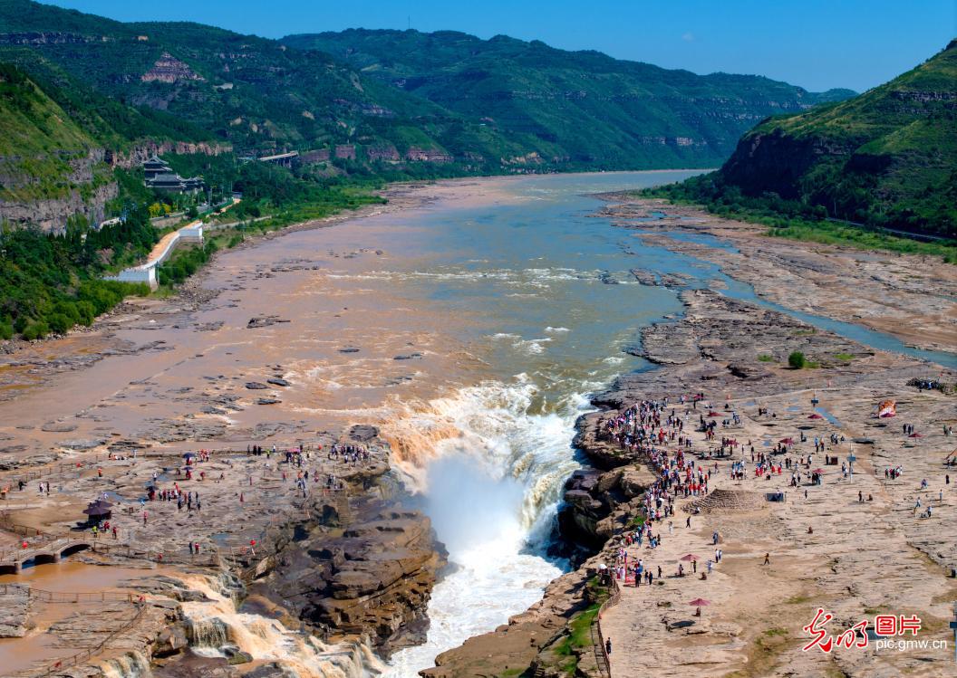黄河壶口瀑布现“半清半浊”奇特景观