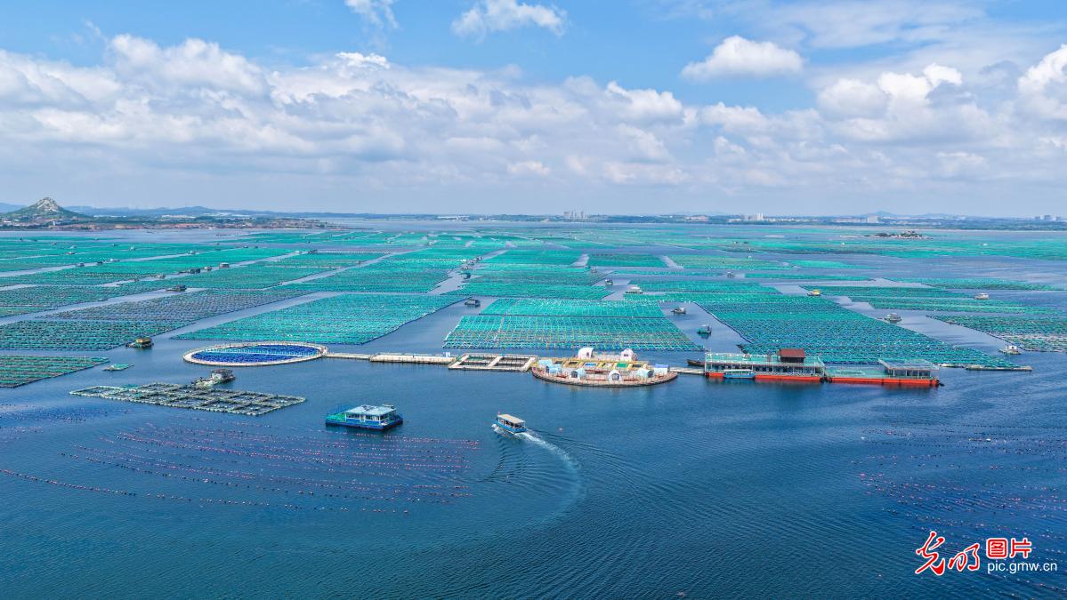 生态海洋牧场引客来