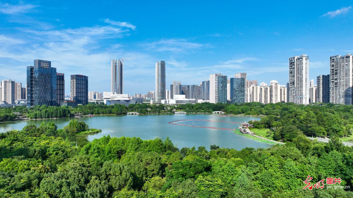 6月22日-6月28日光明图片一周见报作品精选
