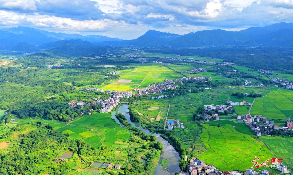 田园山居 夏日风光
