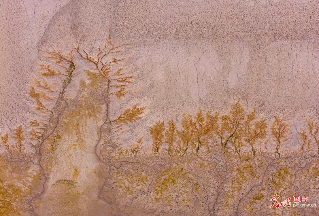 调水调沙绘就黄河绝美沙画