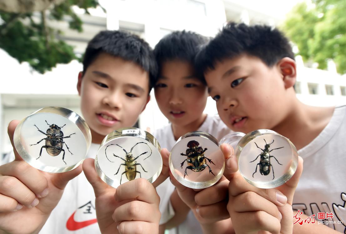 7月6日-7月12日光明图片一周见报作品精选