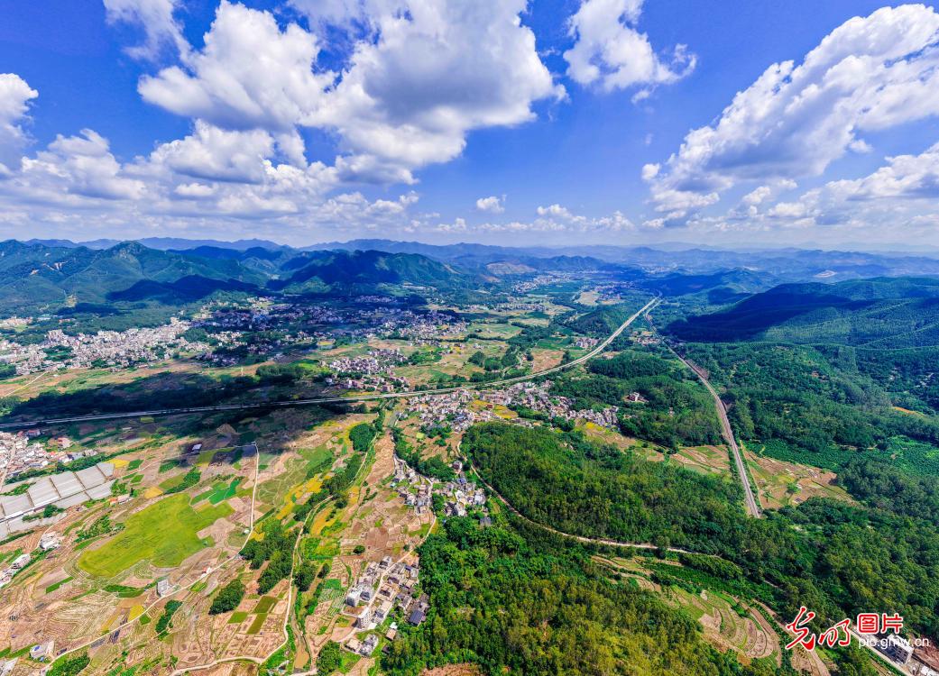 生态乡村景美如画