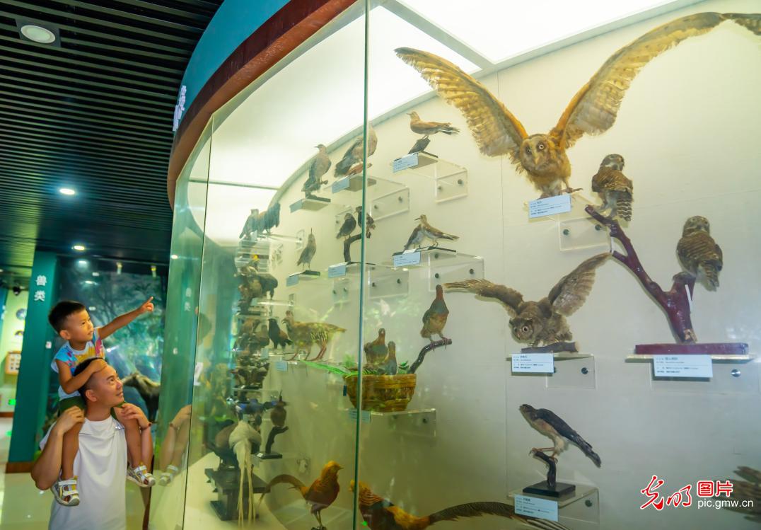 观展求知拓眼界 开卷品书度暑期 观展求知拓眼界 开卷品书度暑期