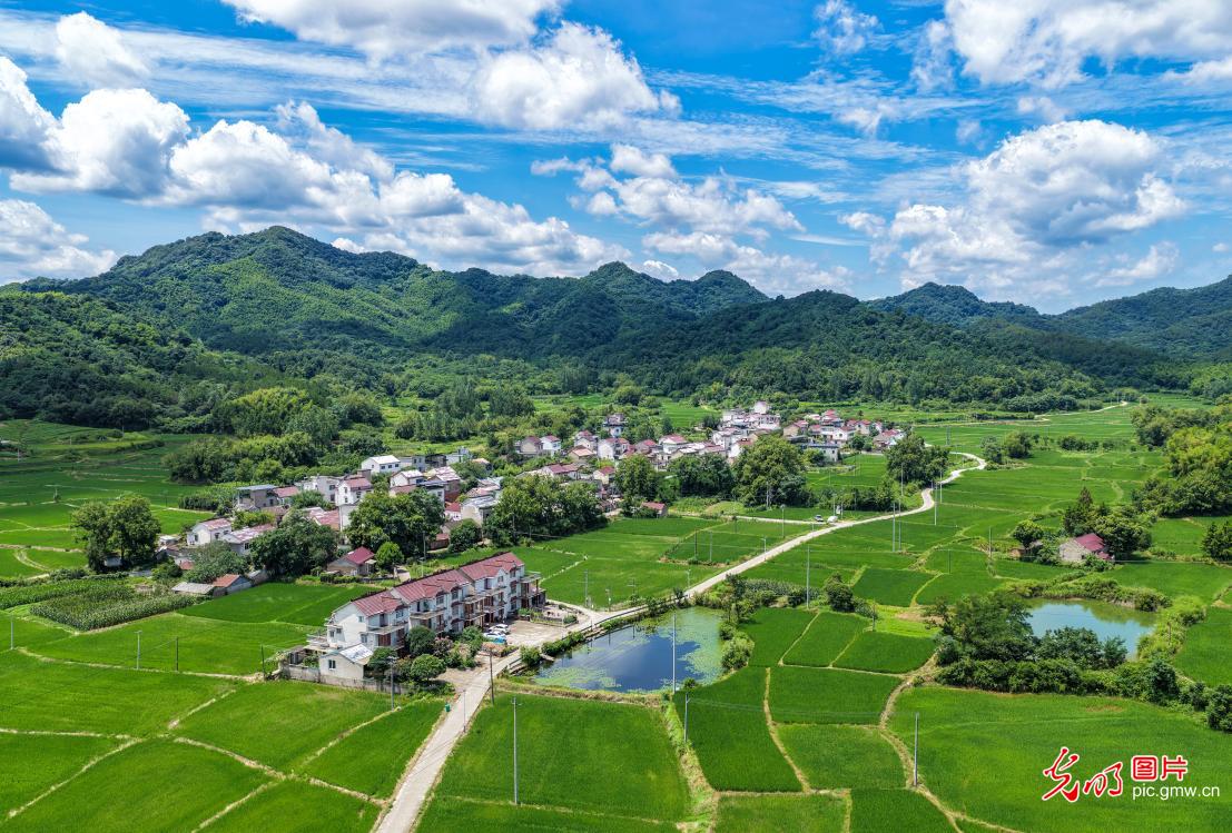 和美乡村景如画